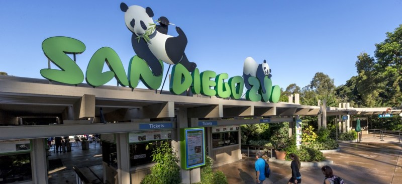 A Picture Of San Diego Zoo