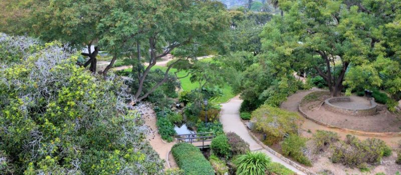 A Picture Of Santa Barbara Botanic Garden